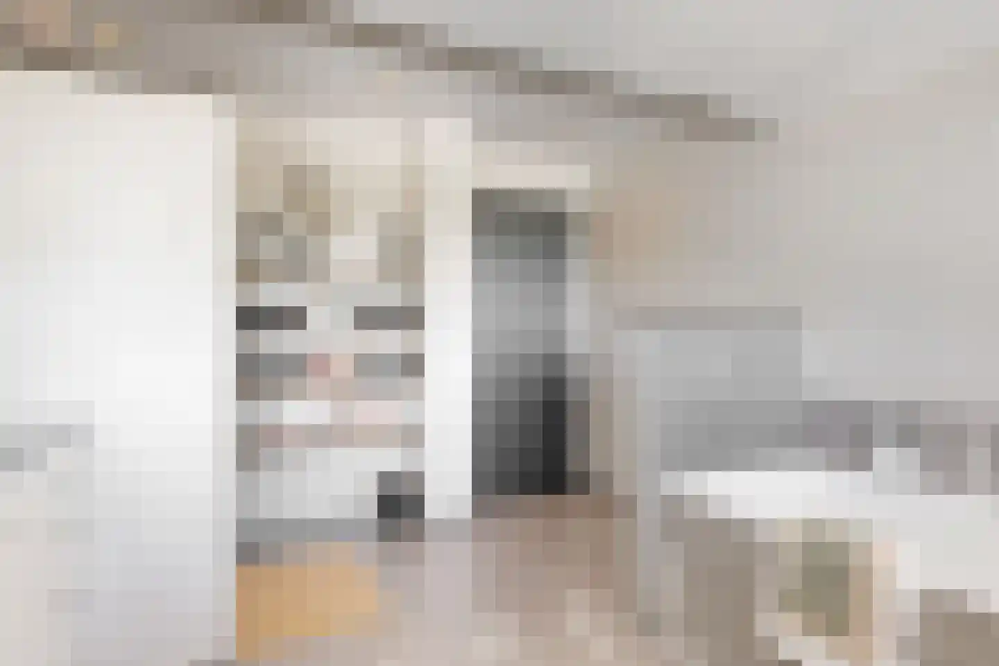 Oude Nieuwlandseweg 3 Nieuwerkerk thumbnail 74