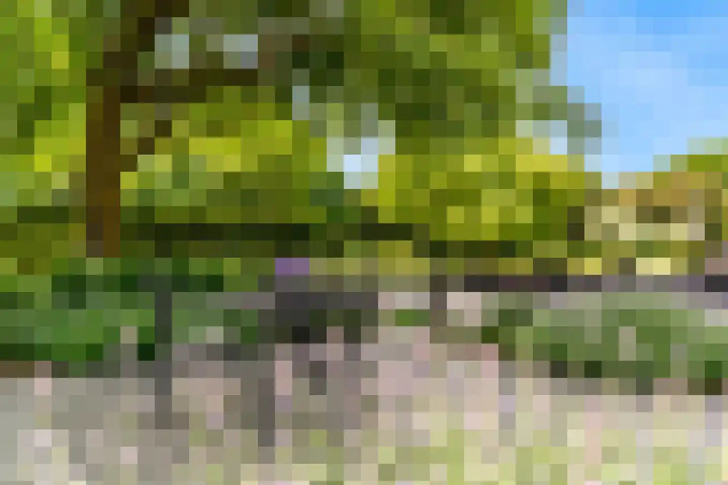 Oude Nieuwlandseweg 3 Nieuwerkerk thumbnail 76