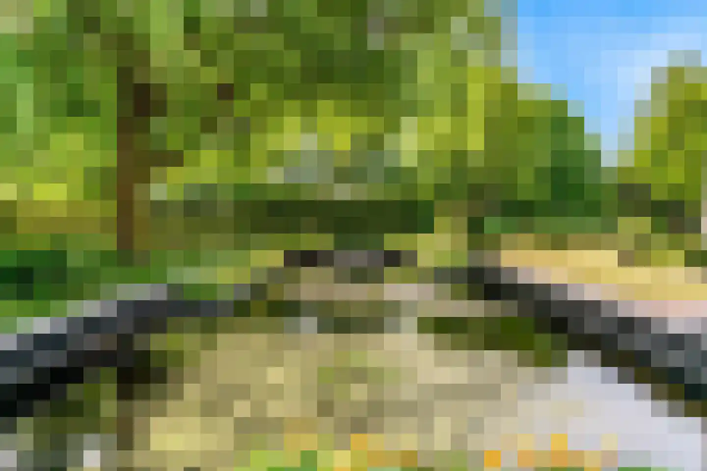 Oude Nieuwlandseweg 3 Nieuwerkerk thumbnail 77