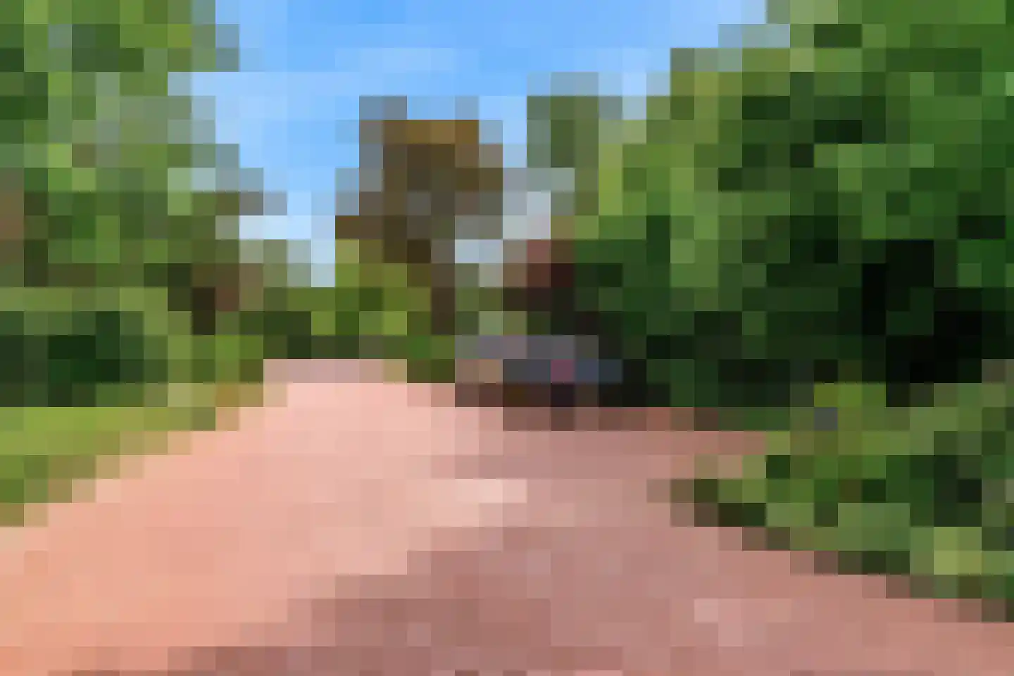 Oude Nieuwlandseweg 3 Nieuwerkerk thumbnail 8