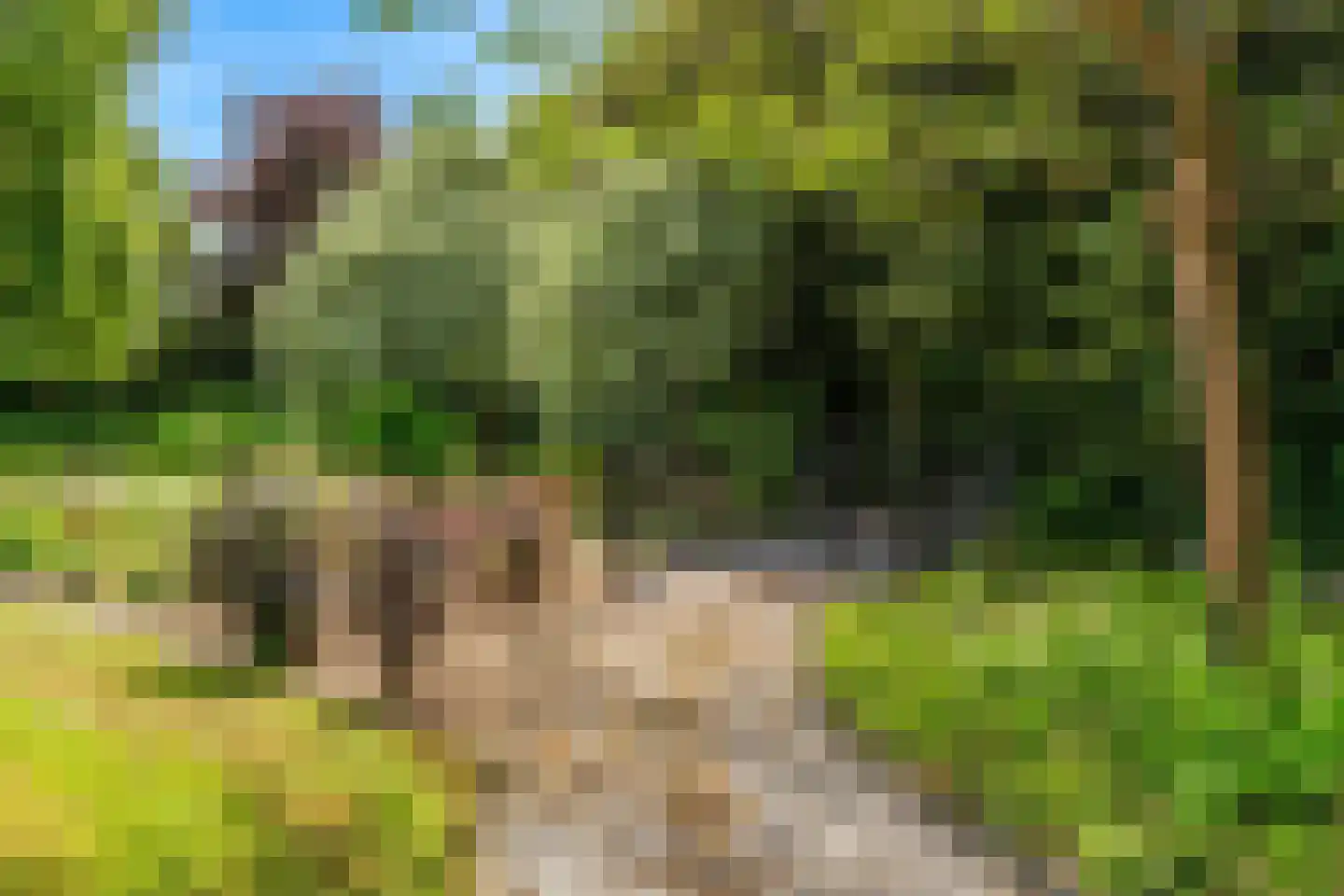 Oude Nieuwlandseweg 3 Nieuwerkerk thumbnail 80