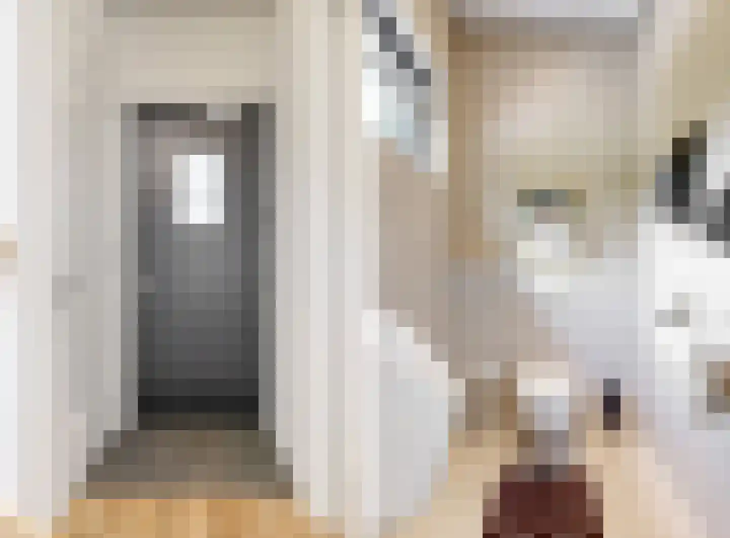 Oude Nieuwlandseweg 3 Nieuwerkerk thumbnail 81