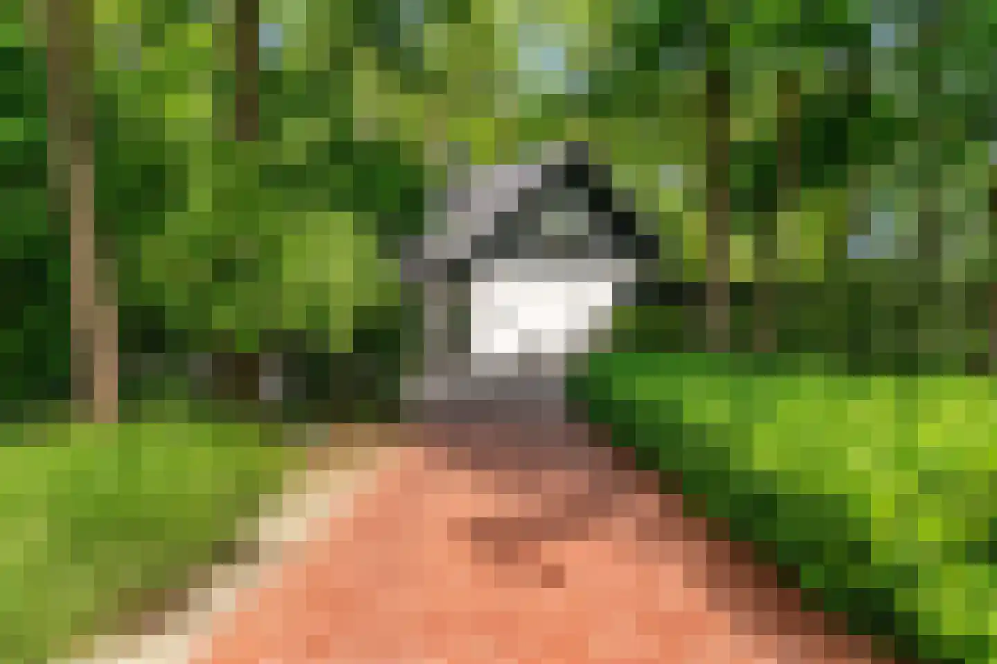 Oude Nieuwlandseweg 3 Nieuwerkerk thumbnail 84