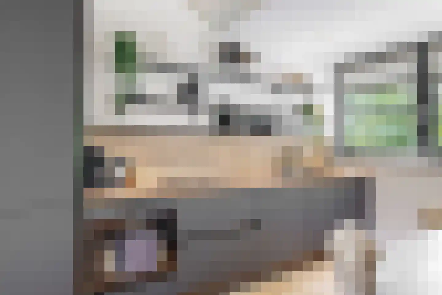 Oude Nieuwlandseweg 3 Nieuwerkerk thumbnail 87