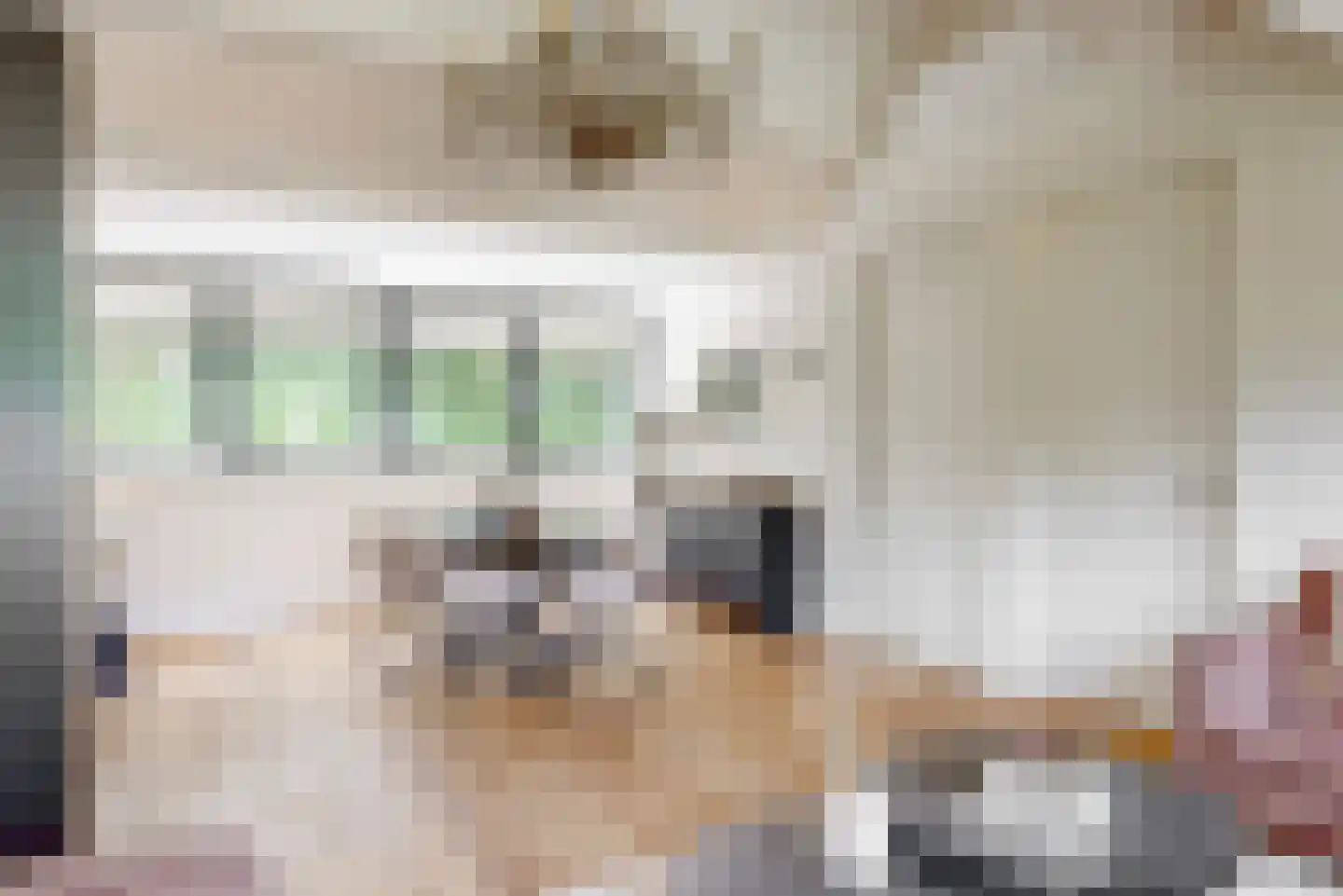 Oude Nieuwlandseweg 3 Nieuwerkerk thumbnail 88