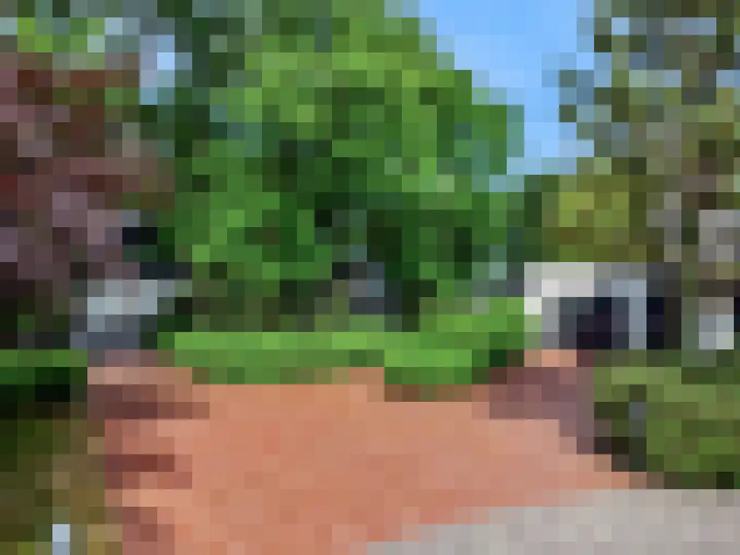 Oude Nieuwlandseweg 3 Nieuwerkerk thumbnail 9