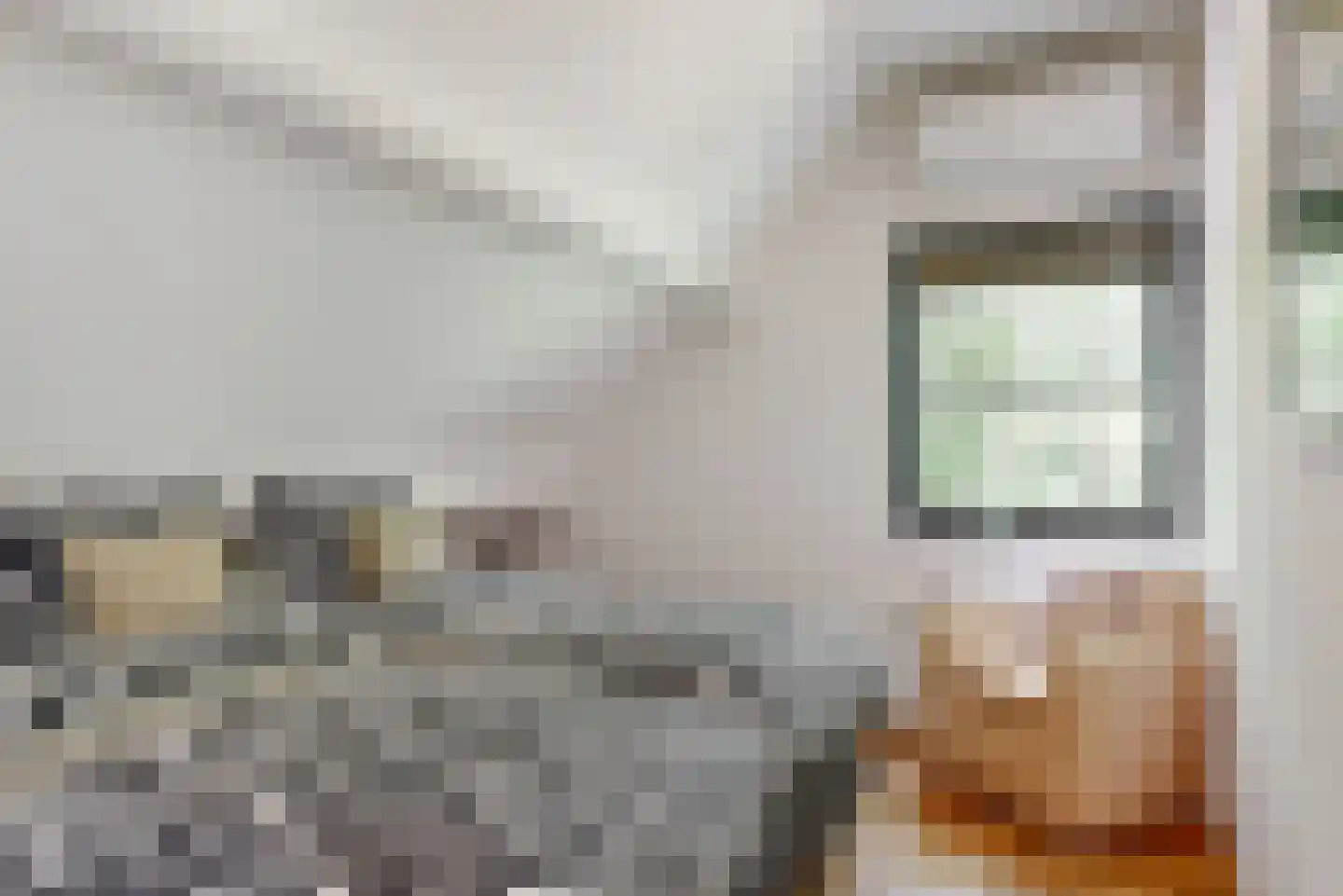 Oude Nieuwlandseweg 3 Nieuwerkerk thumbnail 90