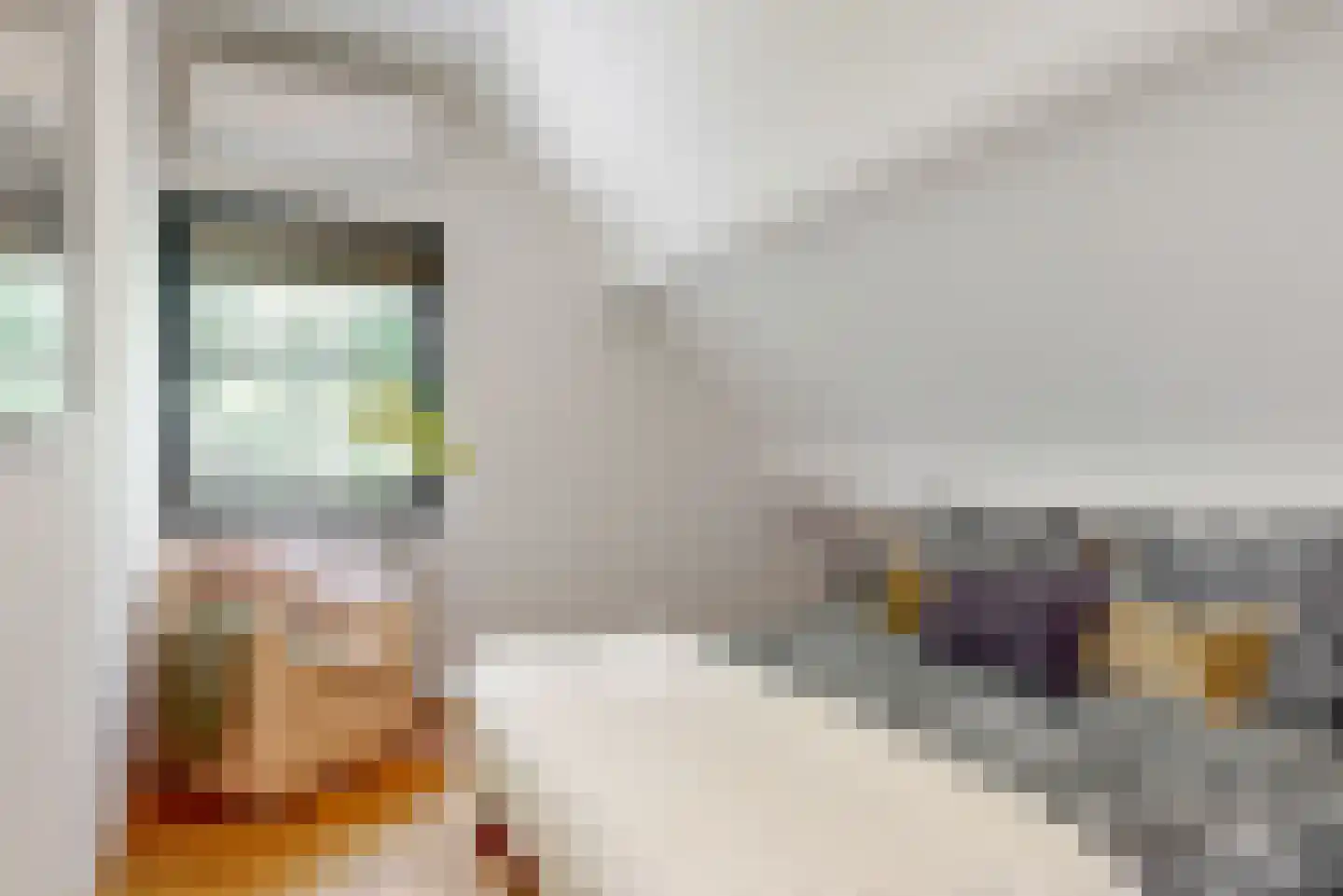 Oude Nieuwlandseweg 3 Nieuwerkerk thumbnail 91