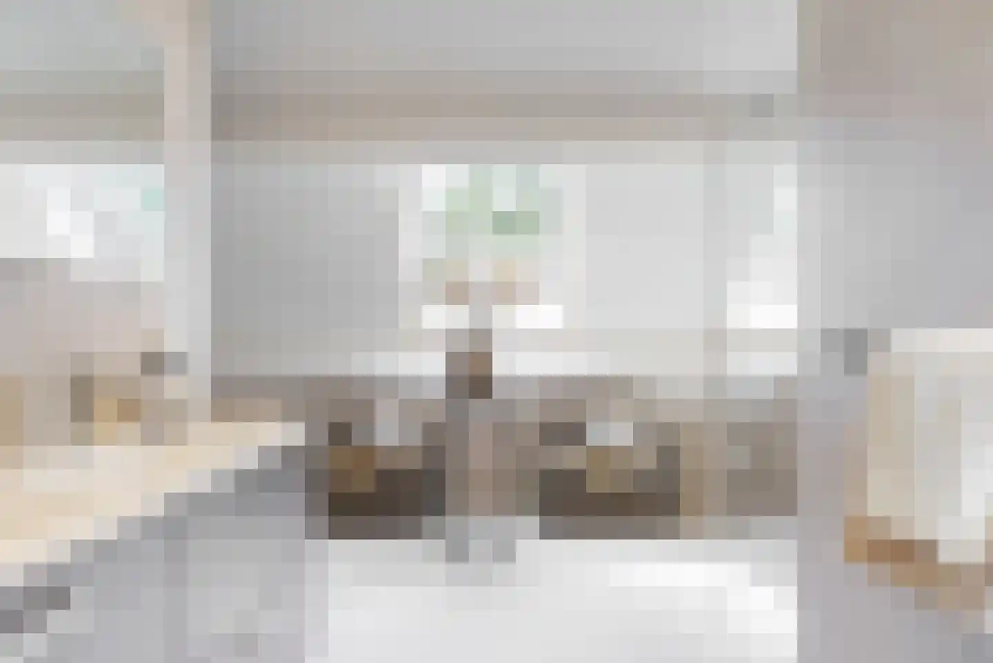 Oude Nieuwlandseweg 3 Nieuwerkerk thumbnail 92