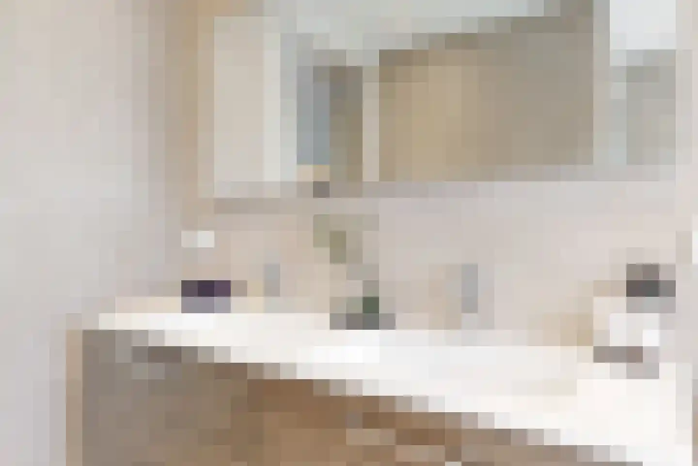 Oude Nieuwlandseweg 3 Nieuwerkerk thumbnail 93
