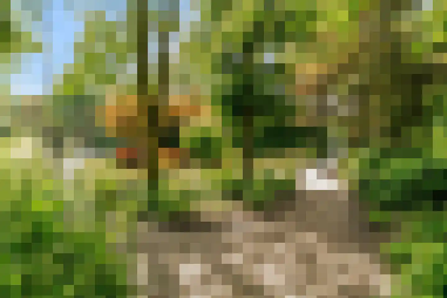 Oude Nieuwlandseweg 3 Nieuwerkerk thumbnail 97