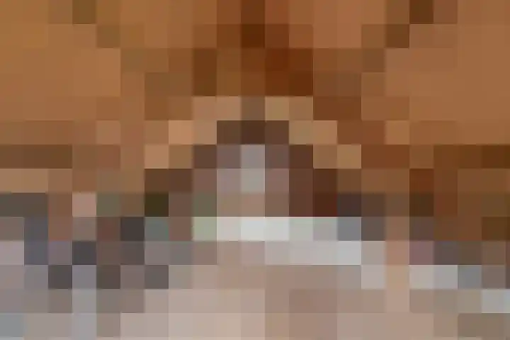 Oude Nieuwlandseweg 41 Ouddorp thumbnail 34