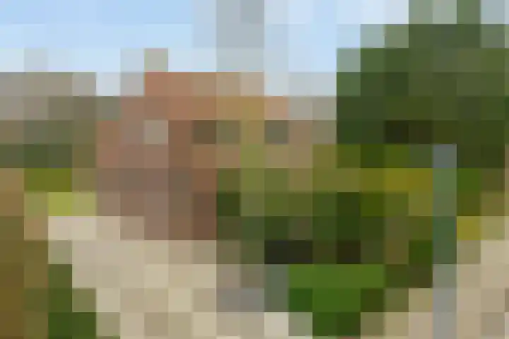 Oude Nieuwlandseweg 41 Ouddorp thumbnail 5