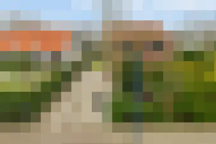Oude Nieuwlandseweg 41 Ouddorp thumbnail 6