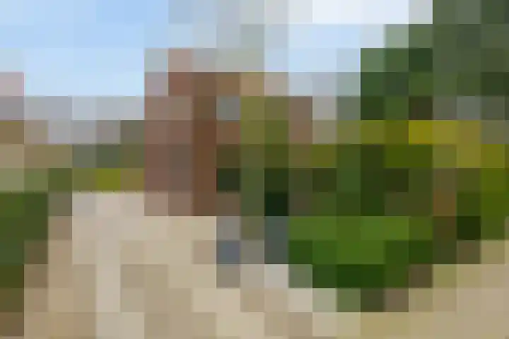 Oude Nieuwlandseweg 41 Ouddorp thumbnail 7