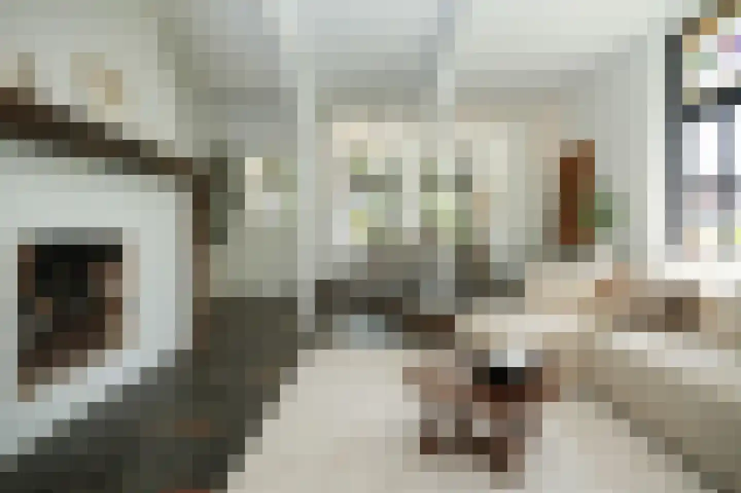 Oude Nieuwveenseweg 84 A Nieuwveen thumbnail 10