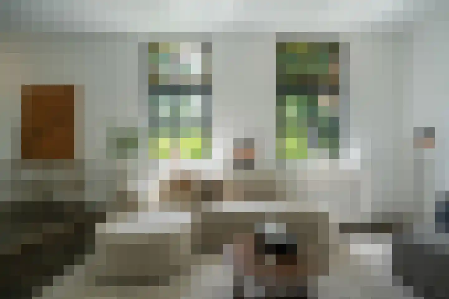 Oude Nieuwveenseweg 84 A Nieuwveen thumbnail 12