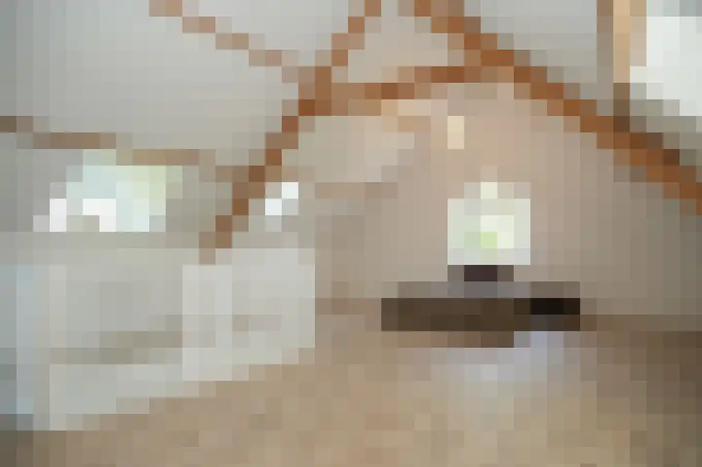 Oude Nieuwveenseweg 84 A Nieuwveen thumbnail 37