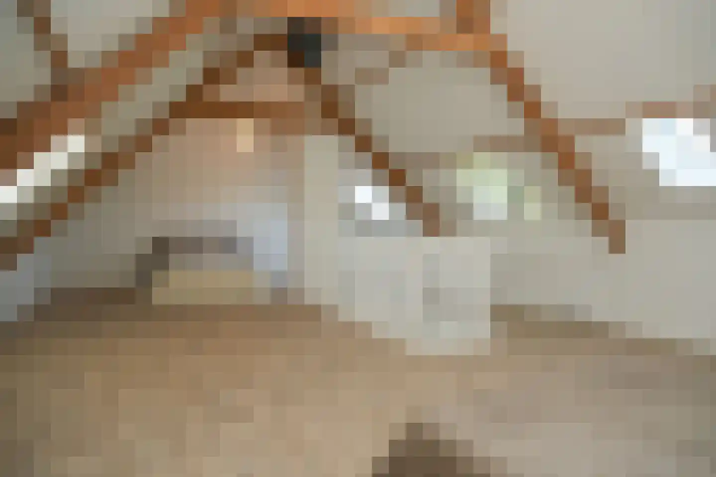Oude Nieuwveenseweg 84 A Nieuwveen thumbnail 39