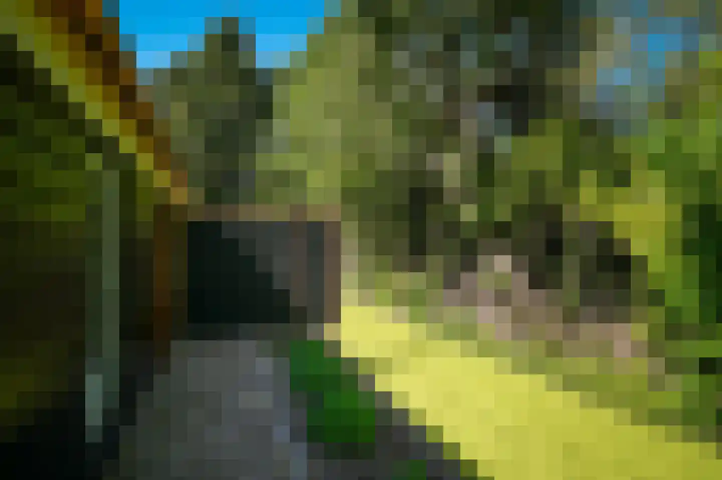 Oude Nieuwveenseweg 84 A Nieuwveen thumbnail 45