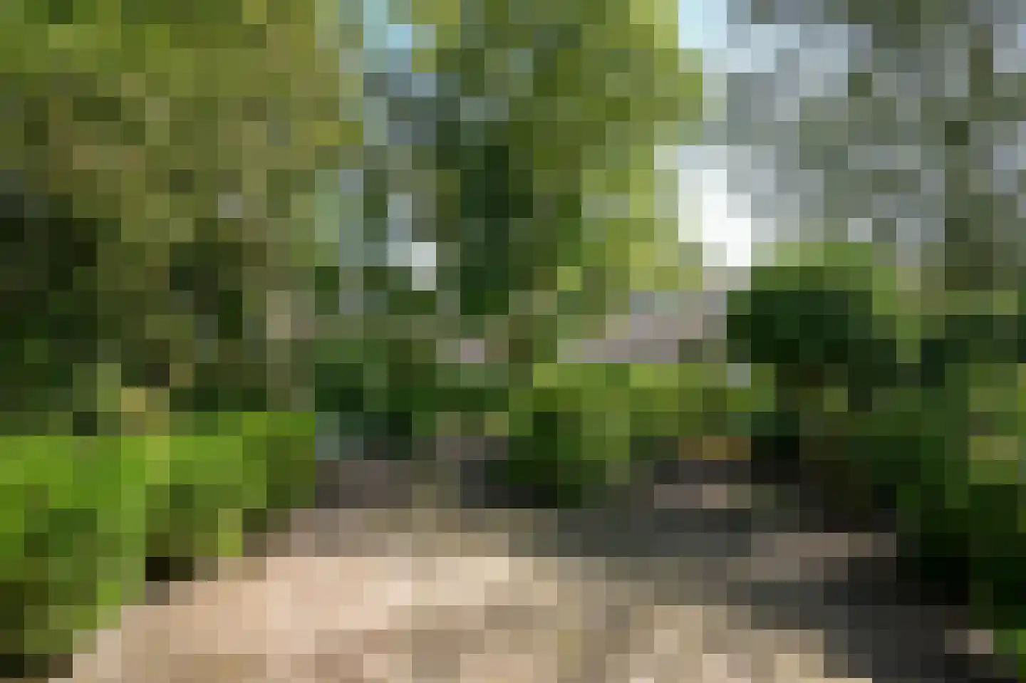 Oude Nieuwveenseweg 84 A Nieuwveen thumbnail 48