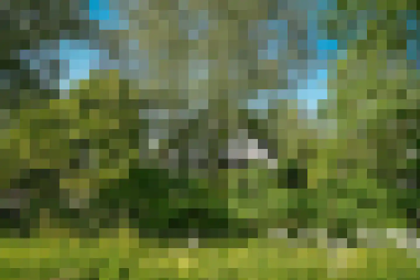 Oude Nieuwveenseweg 84 A Nieuwveen thumbnail 54