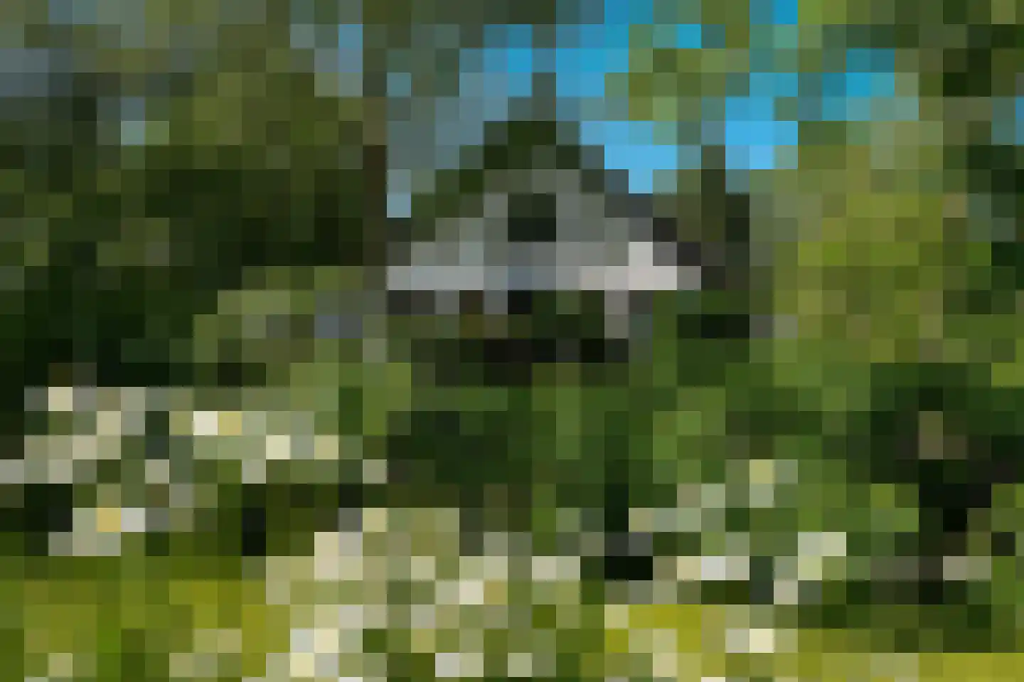Oude Nieuwveenseweg 84 A Nieuwveen thumbnail 55