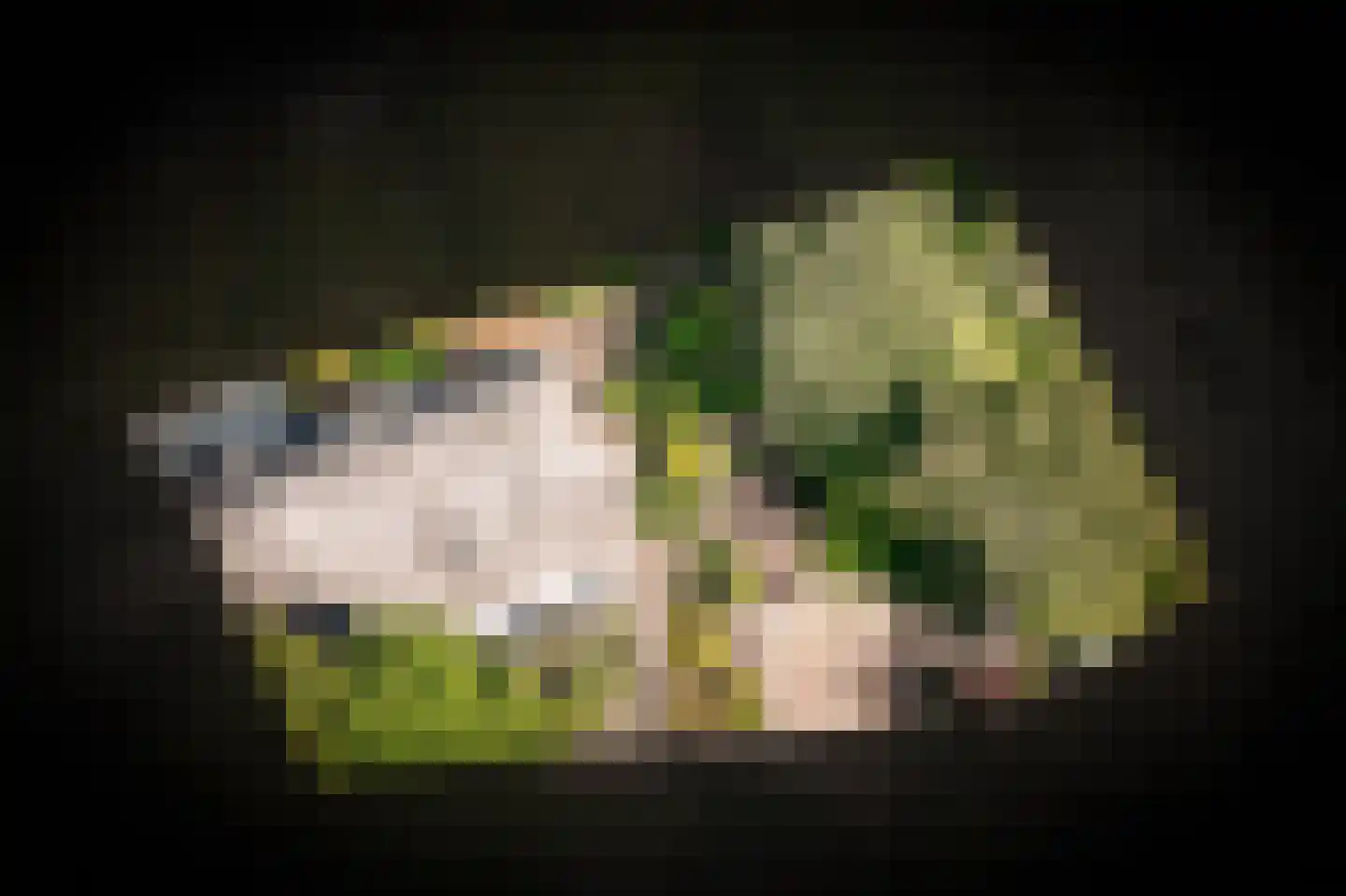 Oude Nieuwveenseweg 84 A Nieuwveen thumbnail 56