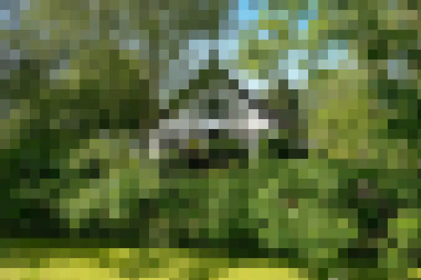 Oude Nieuwveenseweg 84 A Nieuwveen thumbnail 7