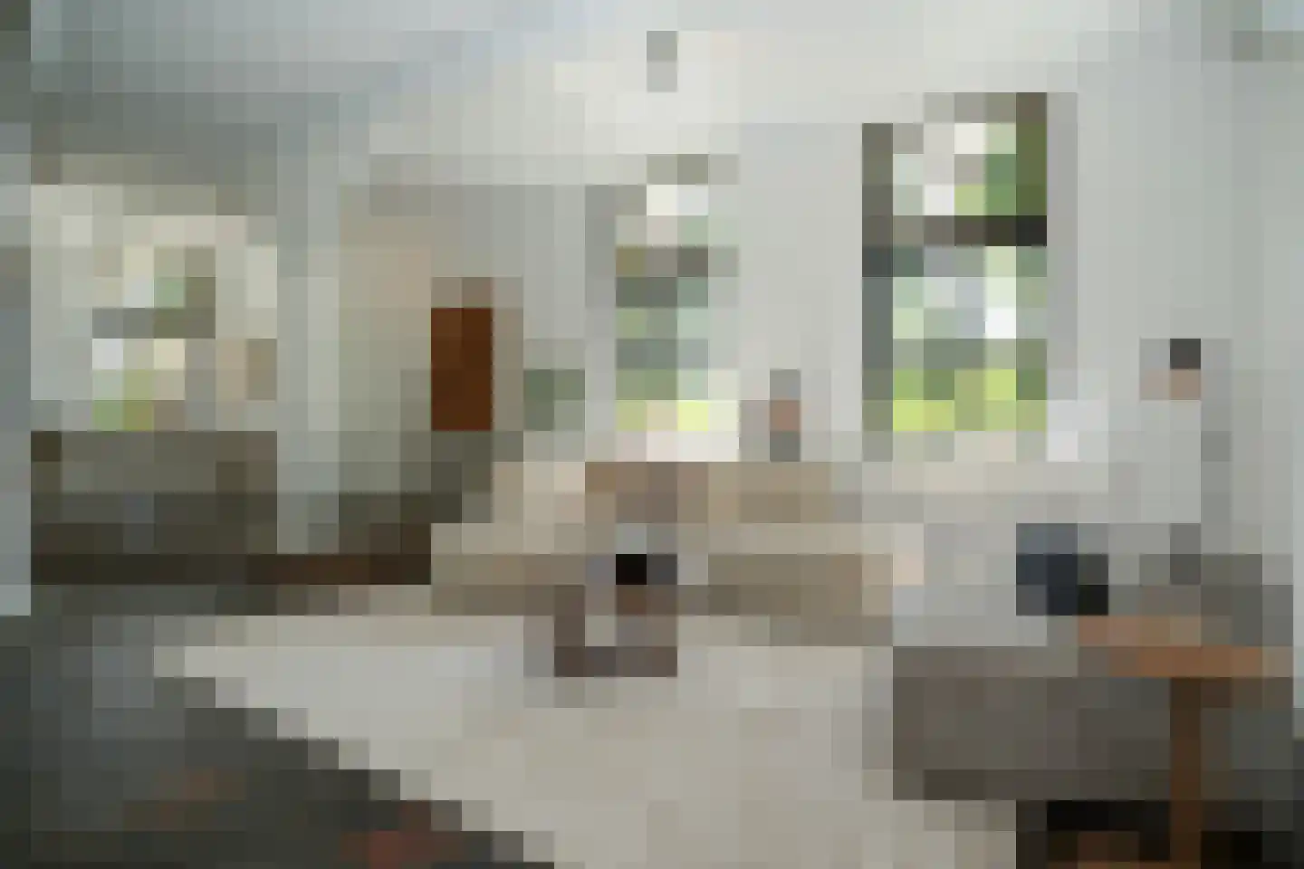 Oude Nieuwveenseweg 84 A Nieuwveen thumbnail 9