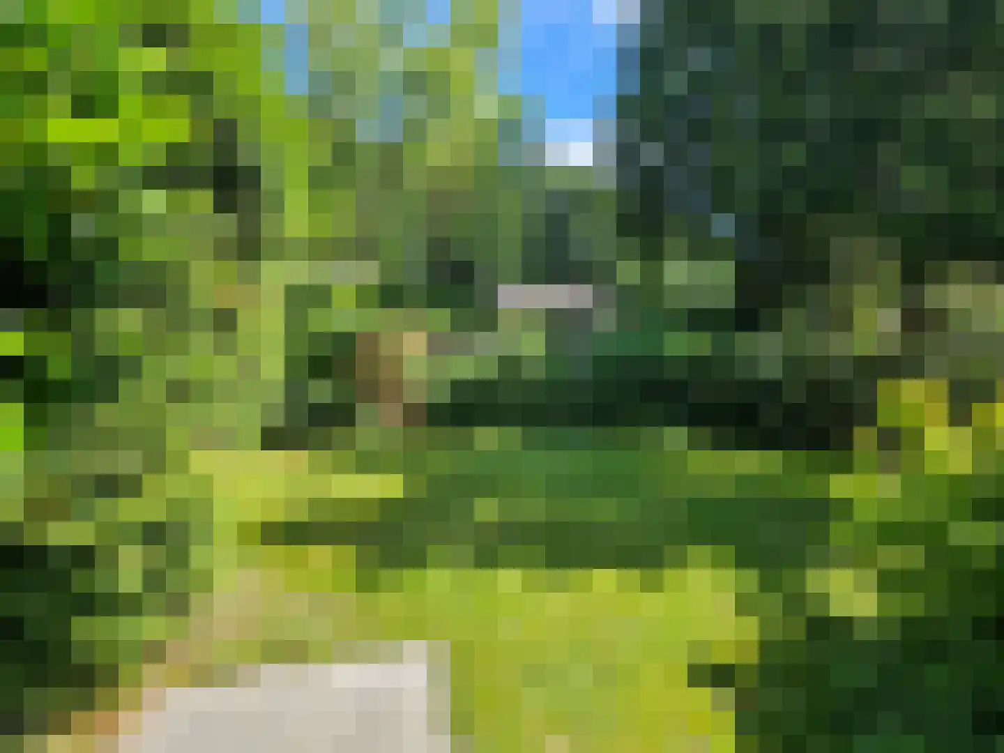 Oude Nijkerkerweg 109 36 Ermelo thumbnail 25