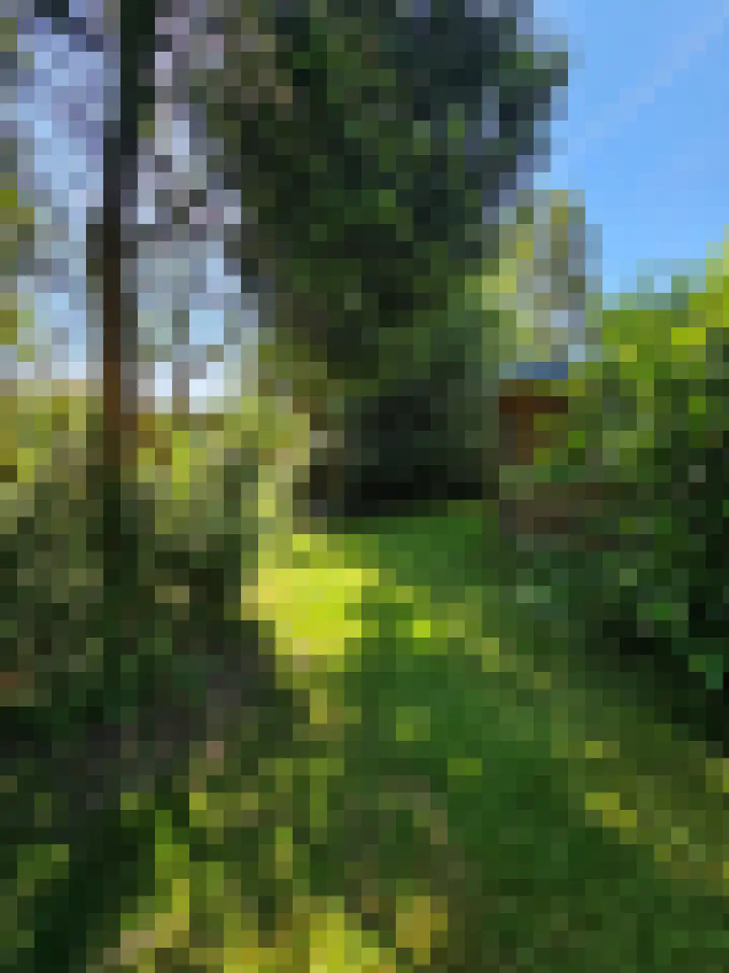 Oude Nijkerkerweg 109 36 Ermelo thumbnail 26