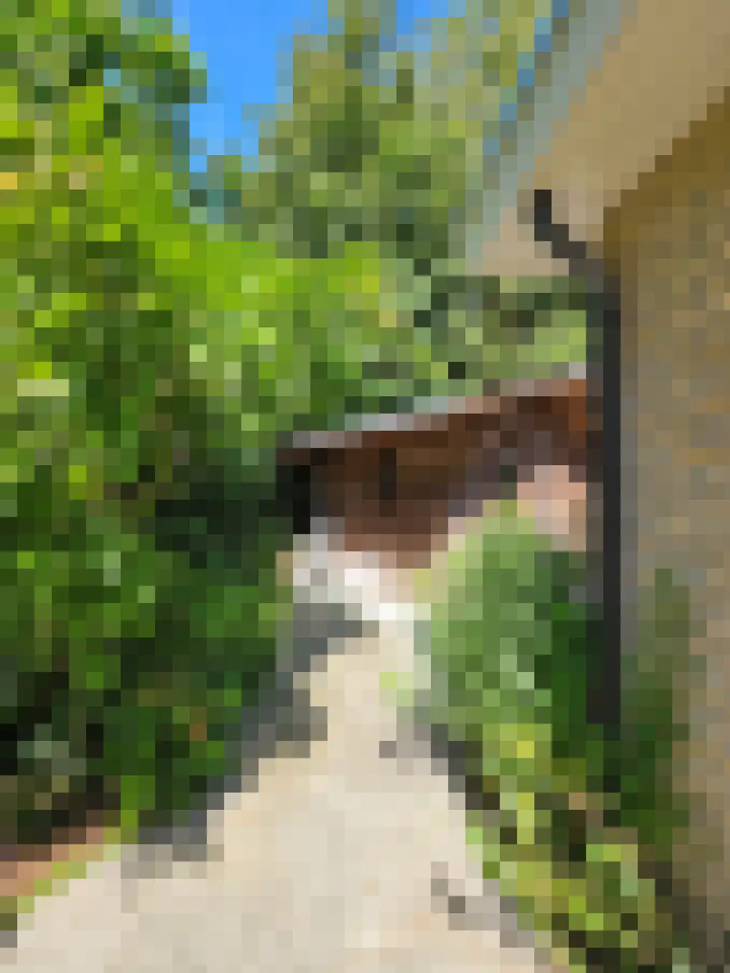 Oude Nijkerkerweg 109 36 Ermelo thumbnail 33