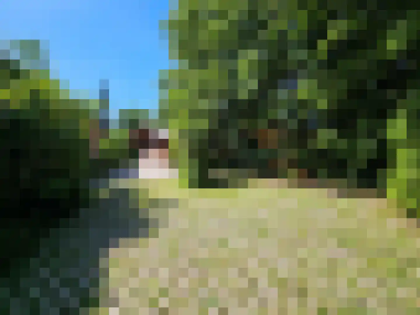 Oude Nijkerkerweg 109 36 Ermelo thumbnail 37