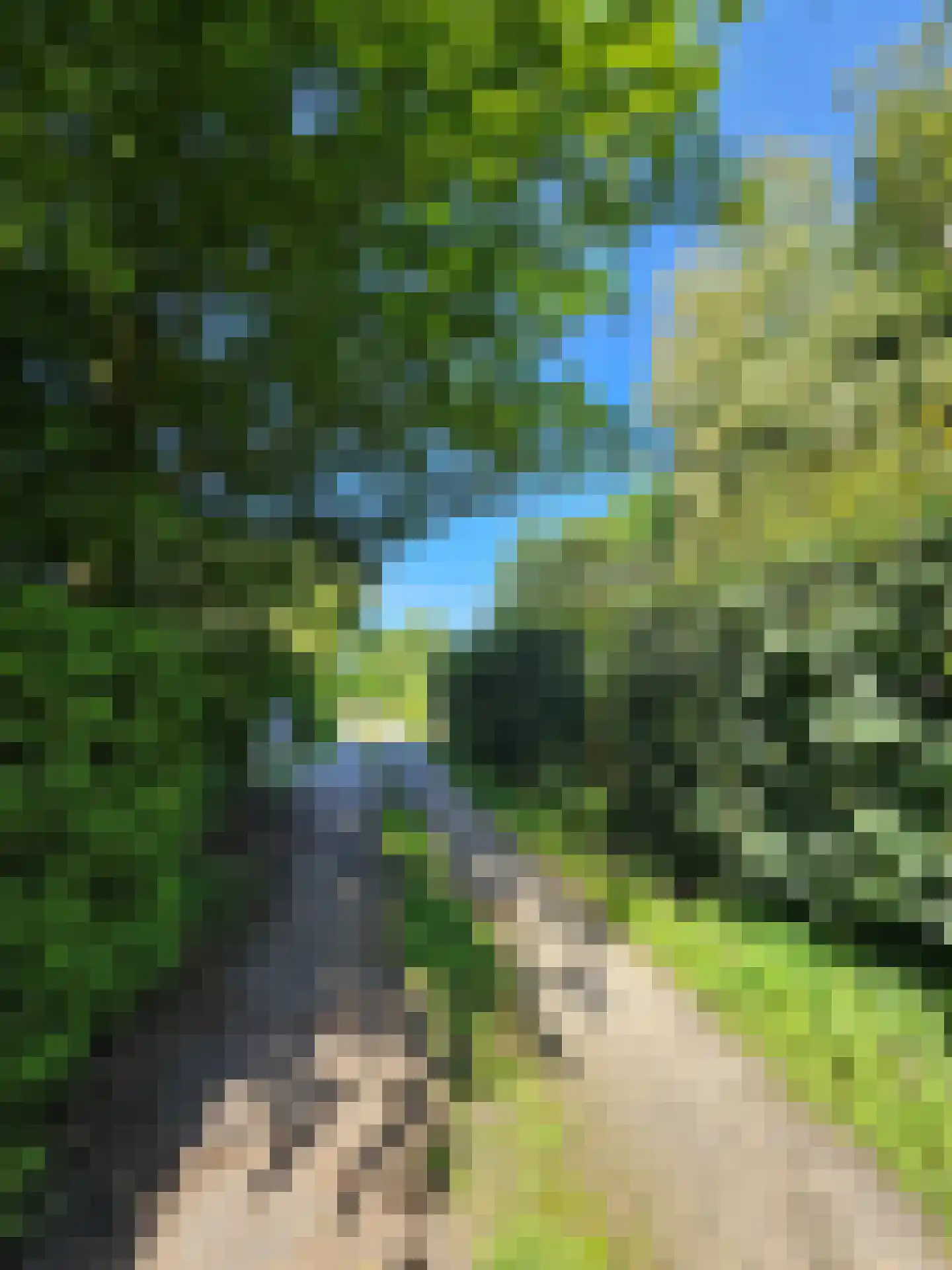 Oude Nijkerkerweg 109 36 Ermelo thumbnail 38
