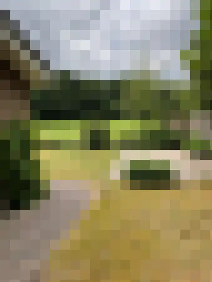 Oude Nijkerkerweg 111 26 Ermelo thumbnail 15