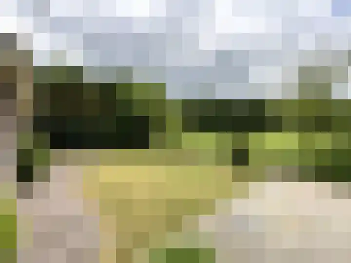 Oude Nijkerkerweg 111 26 Ermelo thumbnail 16