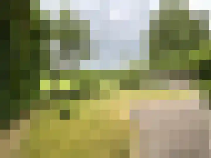 Oude Nijkerkerweg 111 26 Ermelo thumbnail 18