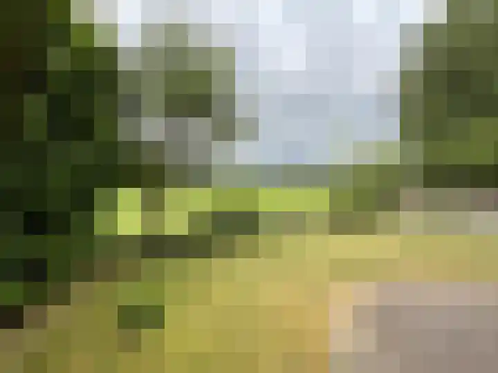 Oude Nijkerkerweg 111 26 Ermelo thumbnail 19