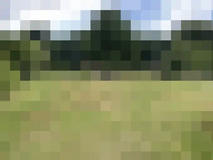 Oude Nijkerkerweg 111 26 Ermelo thumbnail 20