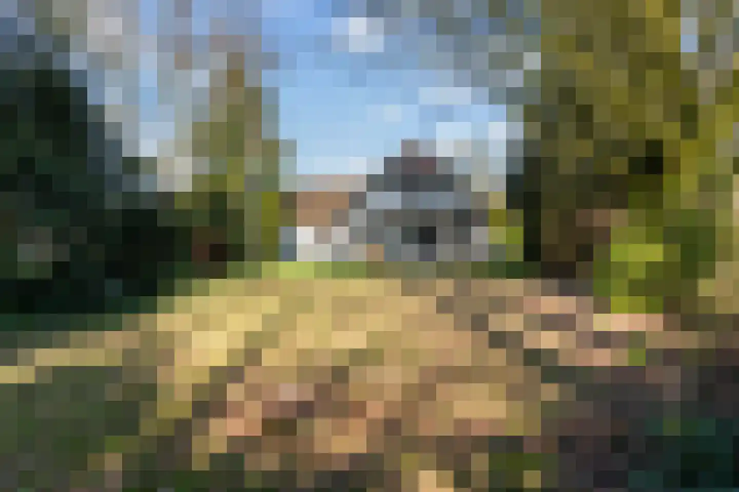 Oude Nijkerkerweg 113 Ermelo thumbnail 32