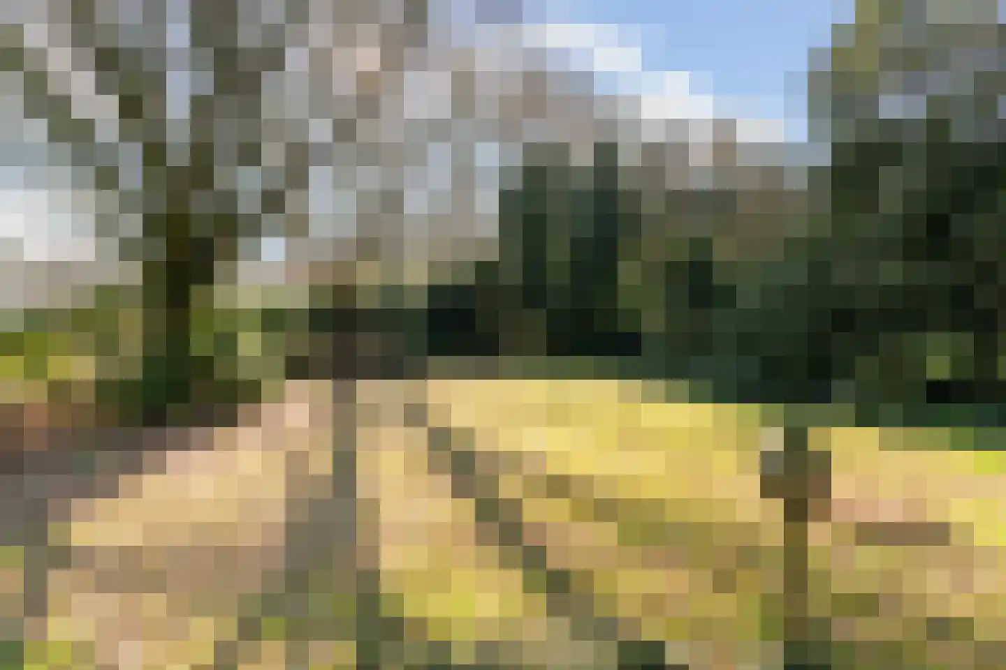 Oude Nijkerkerweg 113 Ermelo thumbnail 33