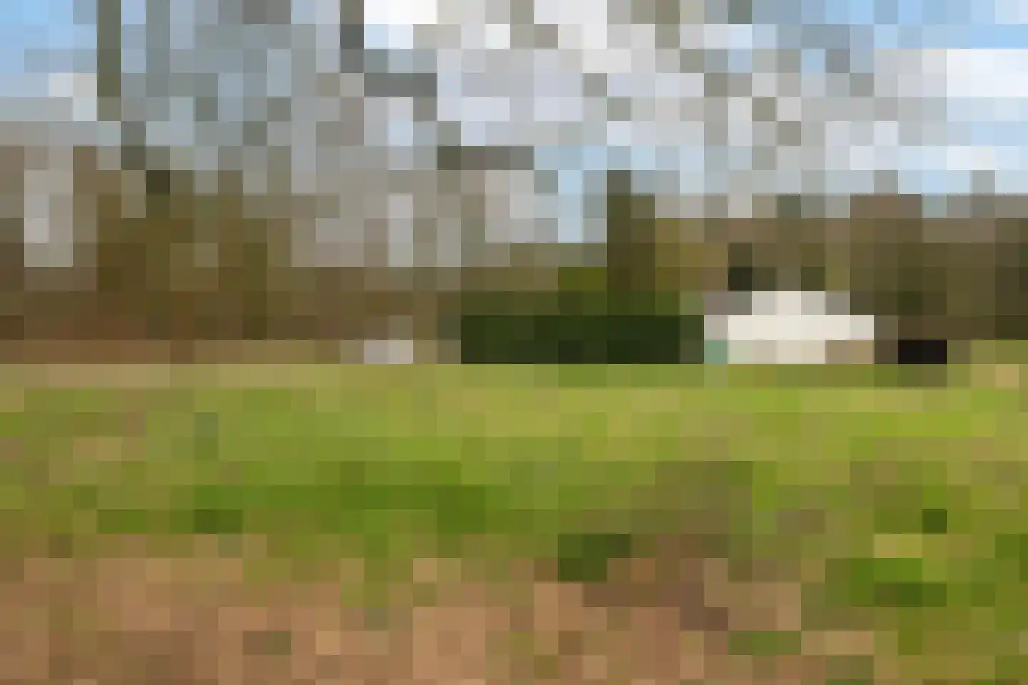 Oude Nijkerkerweg 113 Ermelo thumbnail 48