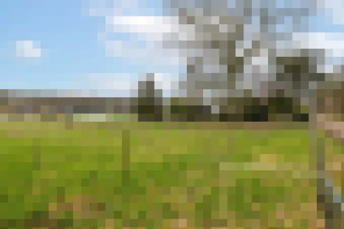 Oude Nijkerkerweg 113 Ermelo thumbnail 49