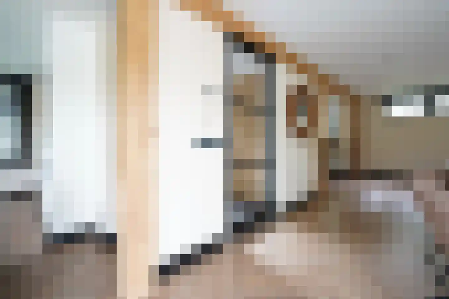 Oude Nijkerkerweg 2 Putten thumbnail 11