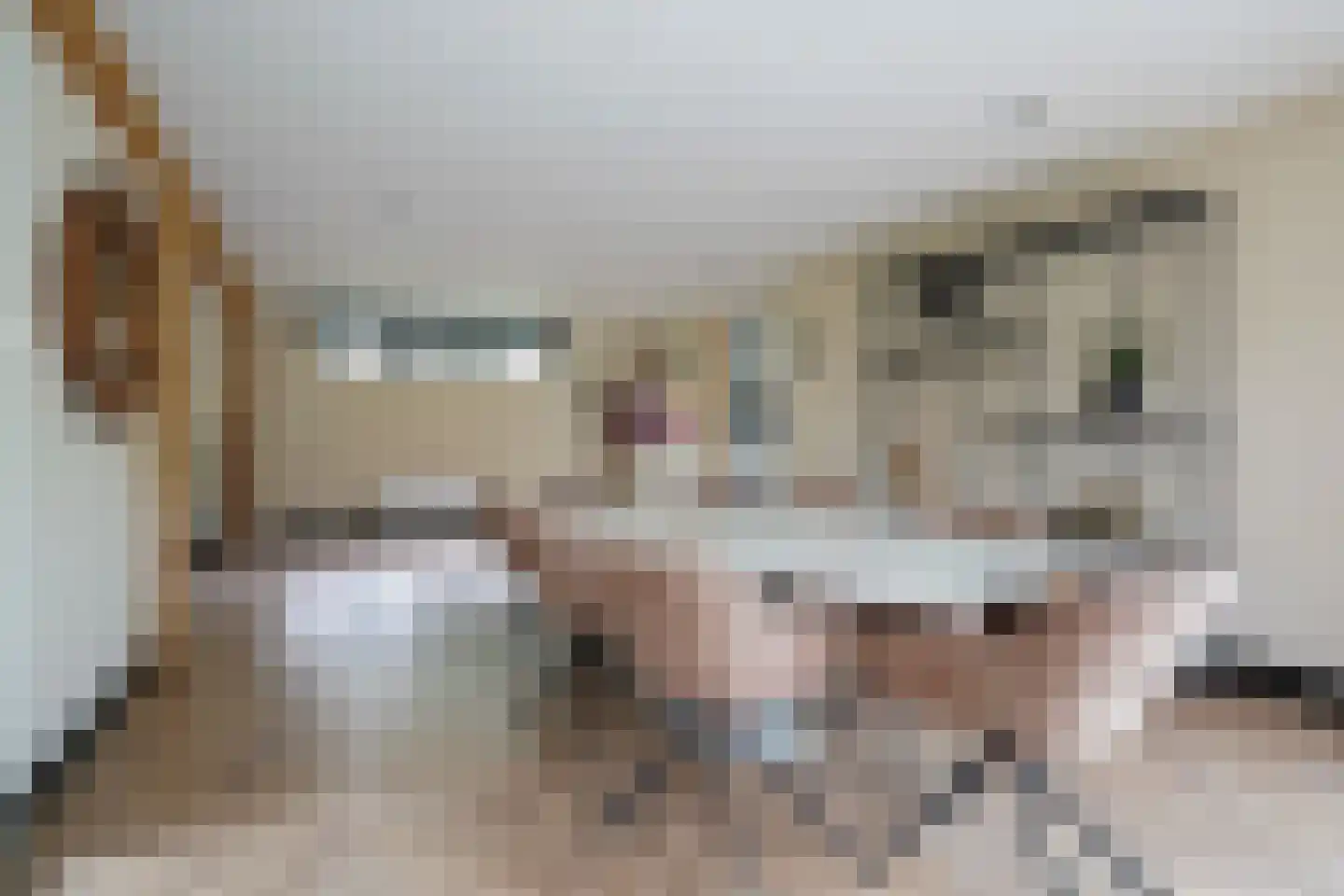 Oude Nijkerkerweg 2 Putten thumbnail 25