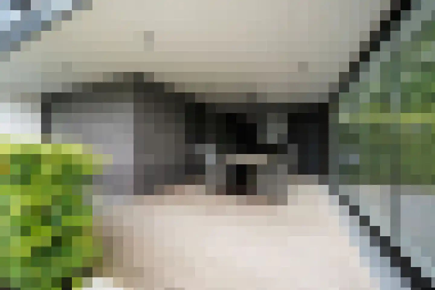 Oude Nijkerkerweg 2 Putten thumbnail 31
