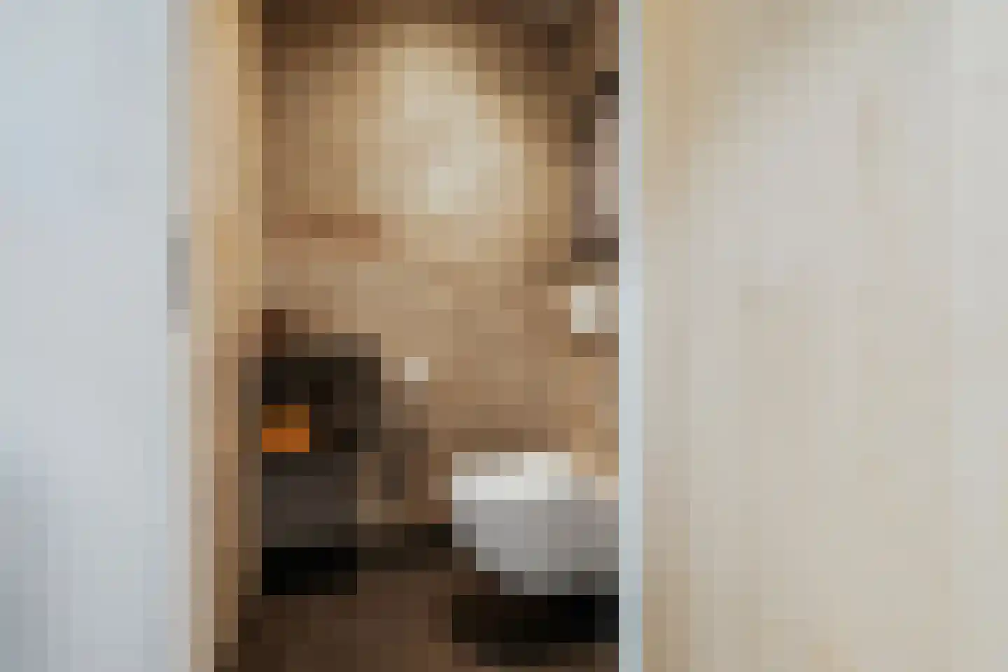Oude Nijkerkerweg 2 Putten thumbnail 38