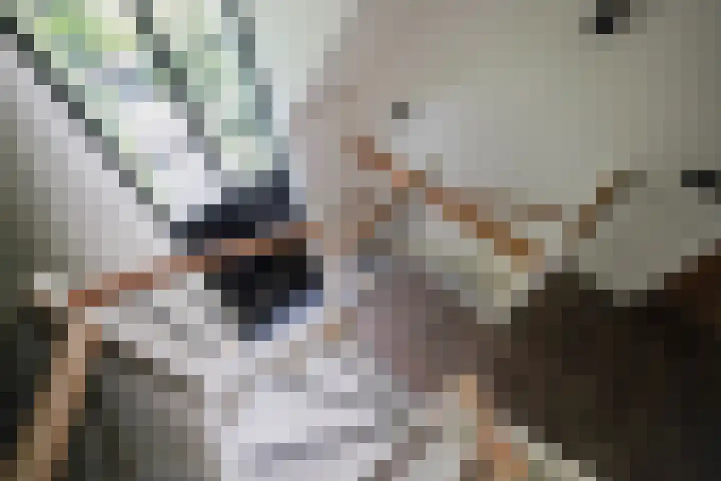 Oude Nijkerkerweg 2 Putten thumbnail 39
