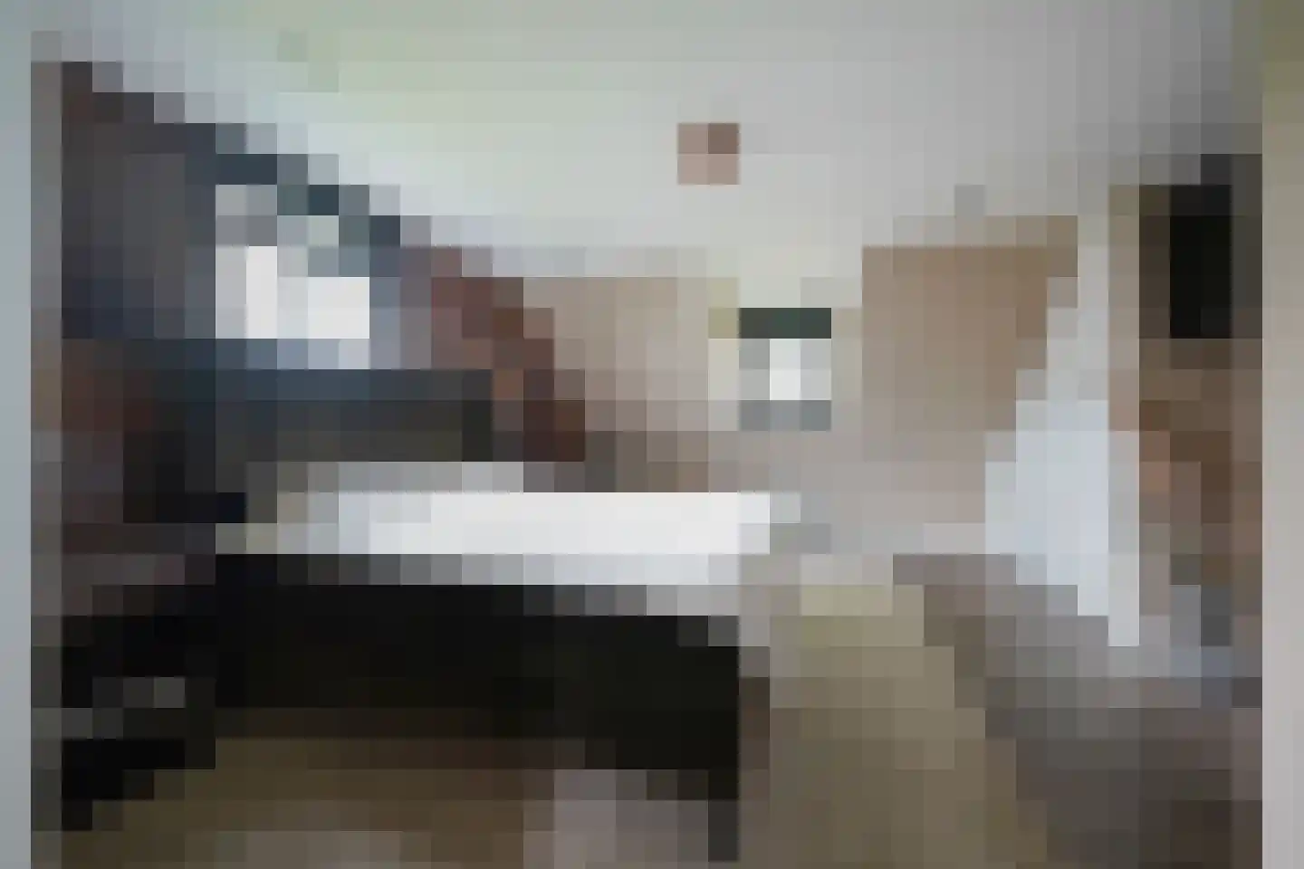 Oude Nijkerkerweg 2 Putten thumbnail 41